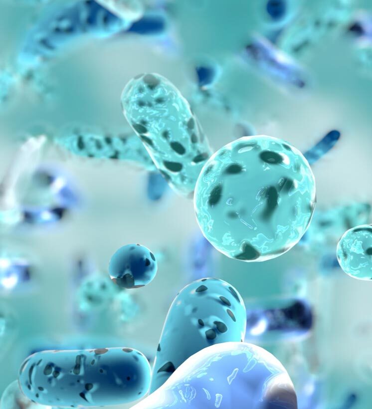 What is Your Gut Microbiome?