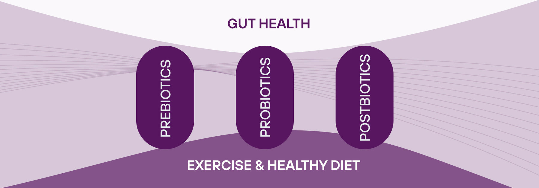 What are Postbiotics?