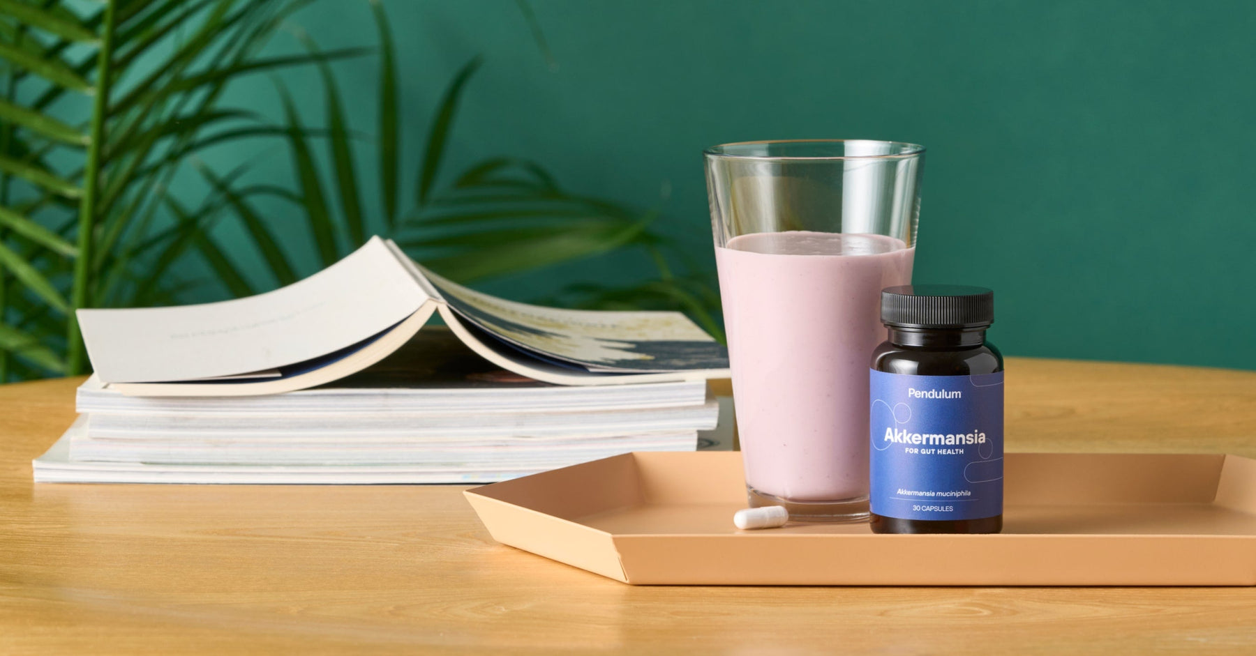 How Can I Boost Akkermansia Levels in My Gut?