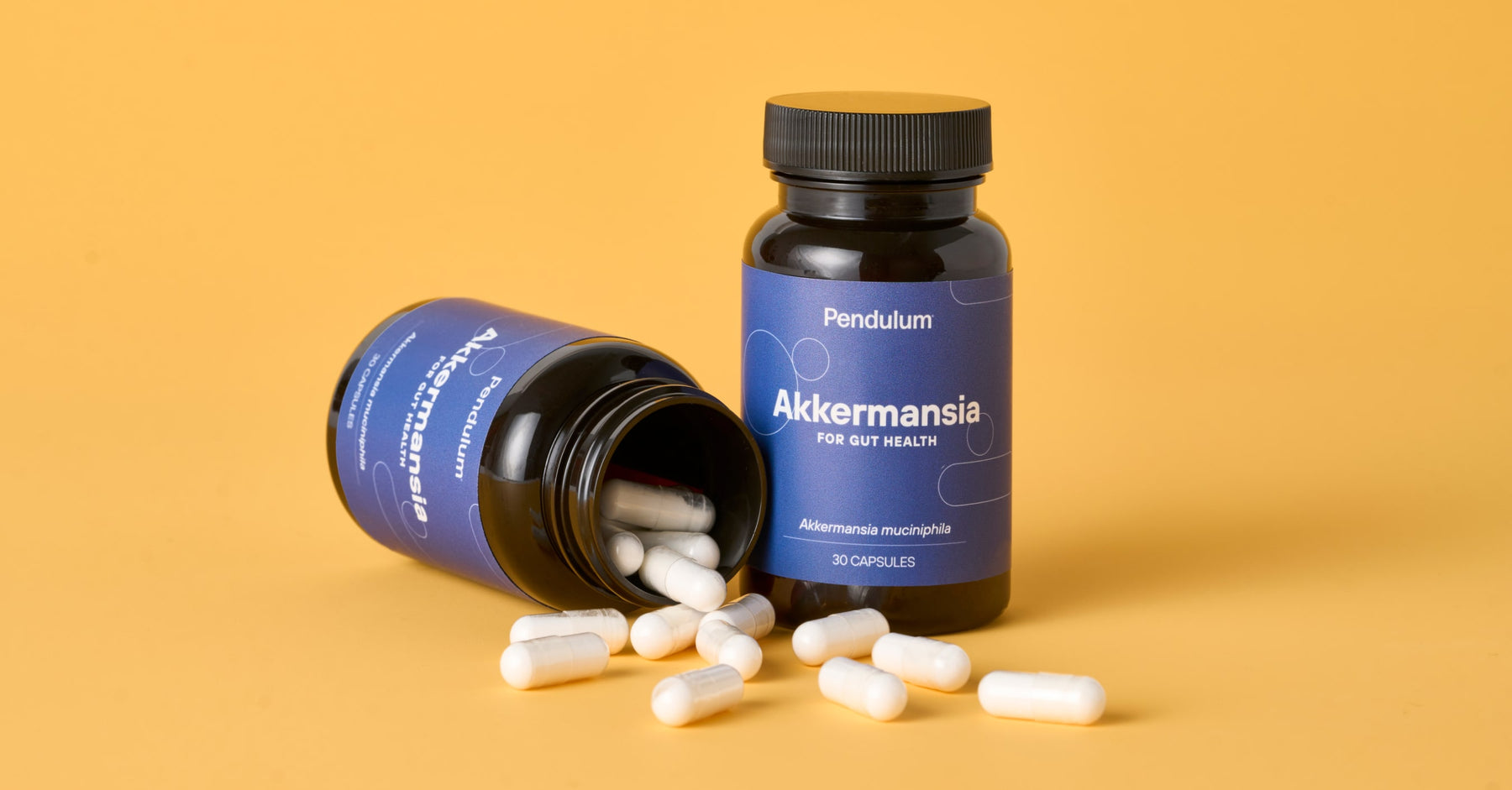 Read All About It: Akkermansia Reviews