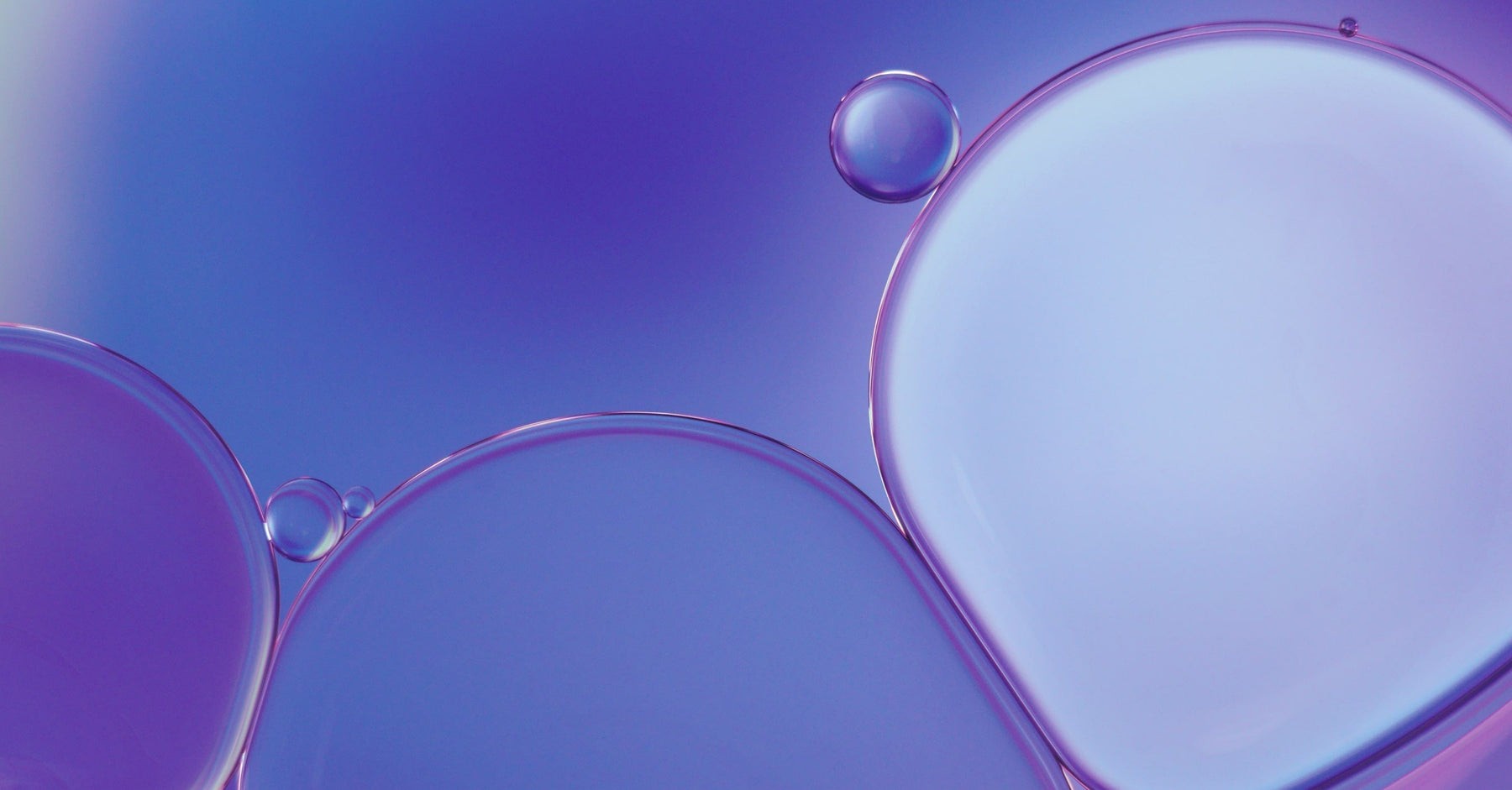 Probiotics 101: A Guide to the 5 Most Powerful Strains