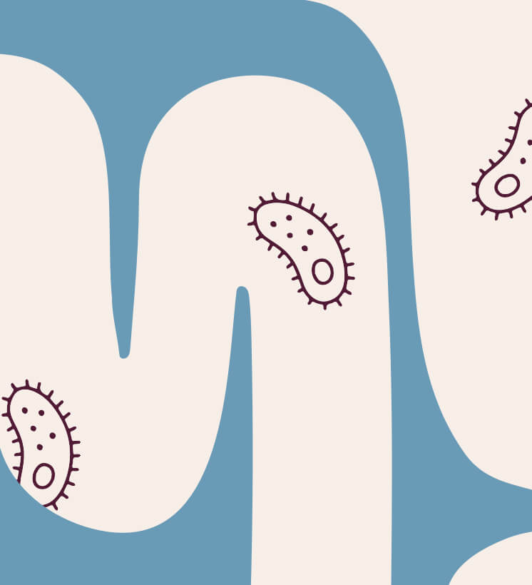 What are the Best Probiotics for Managing Type 2 Diabetes?