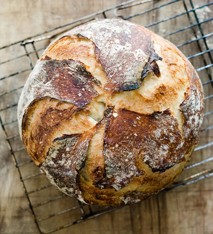 Feed Your Gut with Sourdough