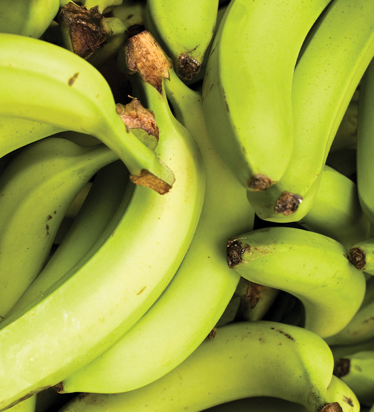 5 Fiber-Rich Superfoods Your Gut Microbiome Will Love