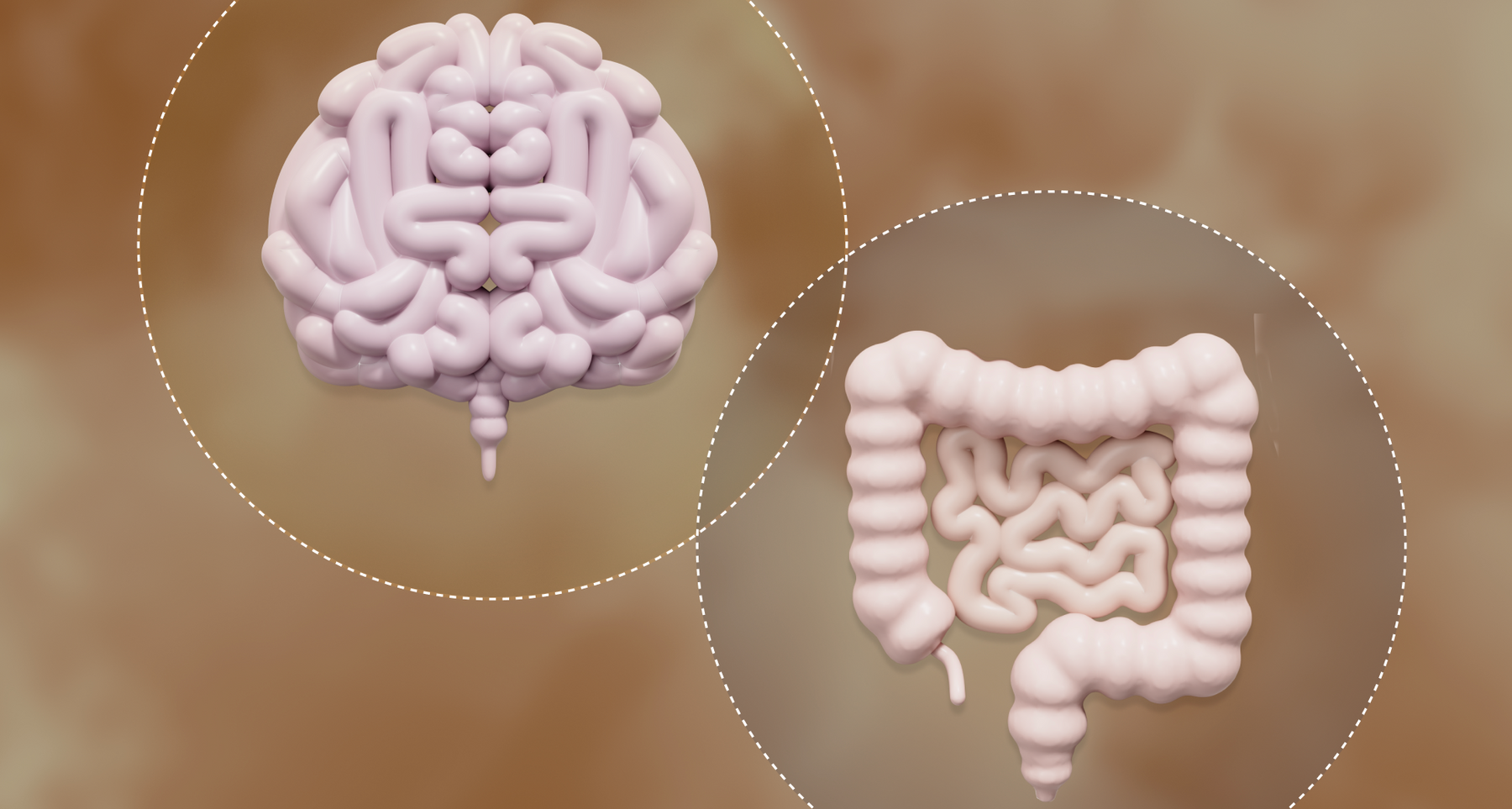 New Research Shows Gut Microbe May Influence Mood More Broadly Than Previously Studied