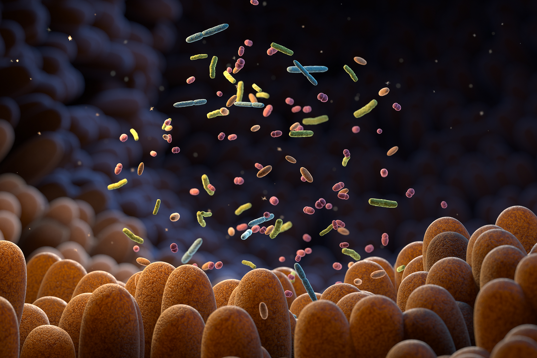Why Does The Gut Microbiome Matter?