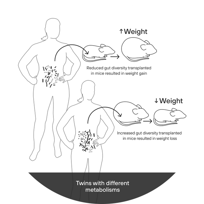 GLP-1 Science Page