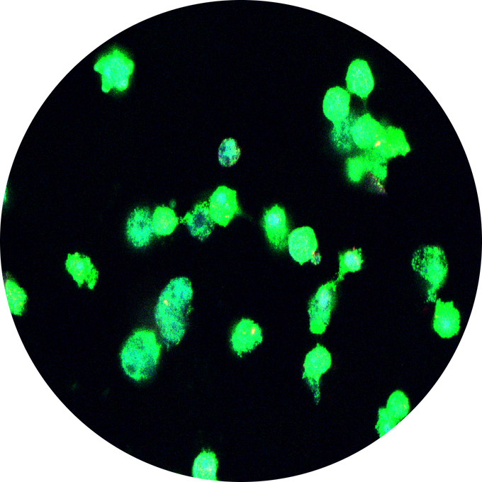 GLP-1 Science Page