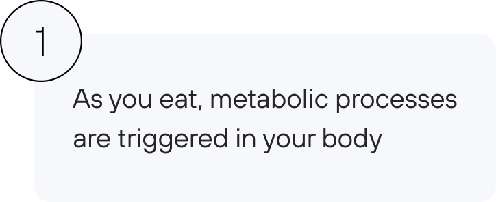 As you eat, metabolic processes are triggered in your body