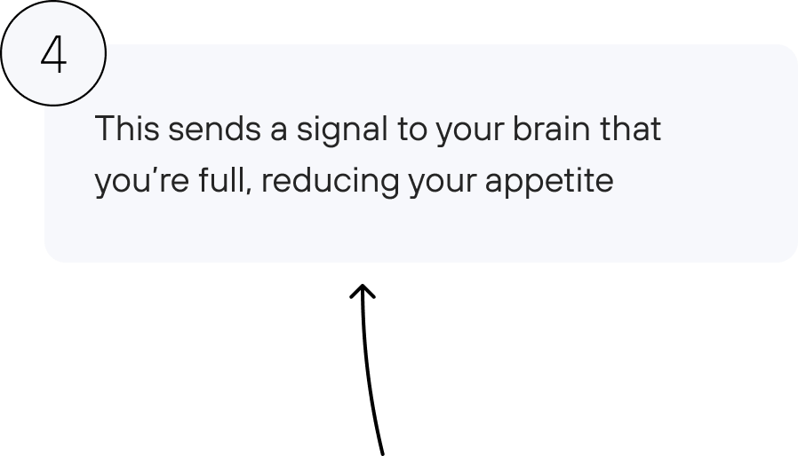 This sends a signal to your brain that you’re full, reducing your appetite.